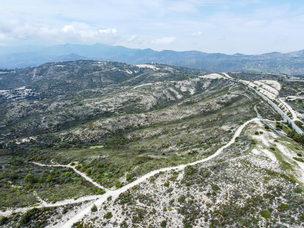 Field - Vavla, Larnaca