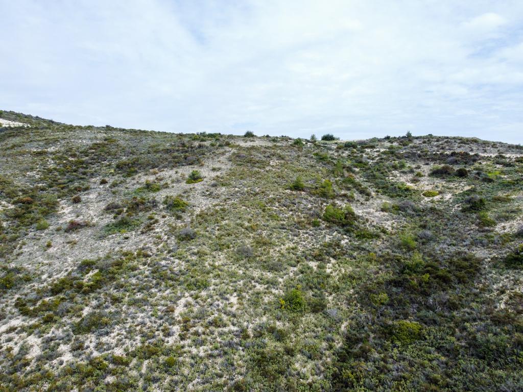 Field - Vavla, Larnaca