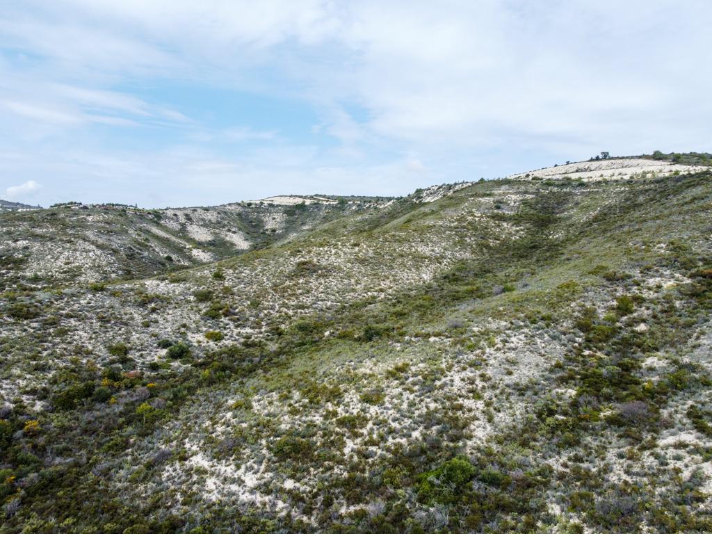 Field - Vavla, Larnaca