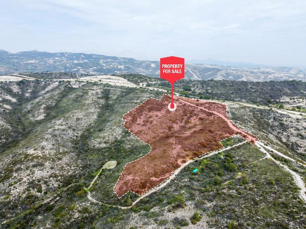 Field - Vavla, Larnaca