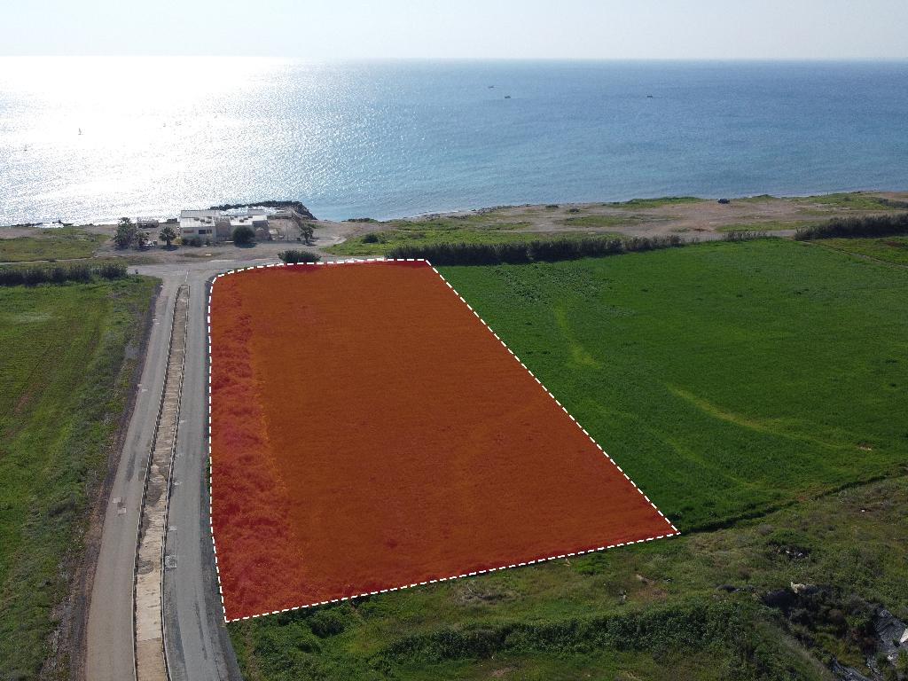 Field – Ormideia, Larnaca