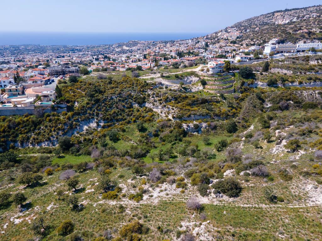 Field-Pegeia-PR37953