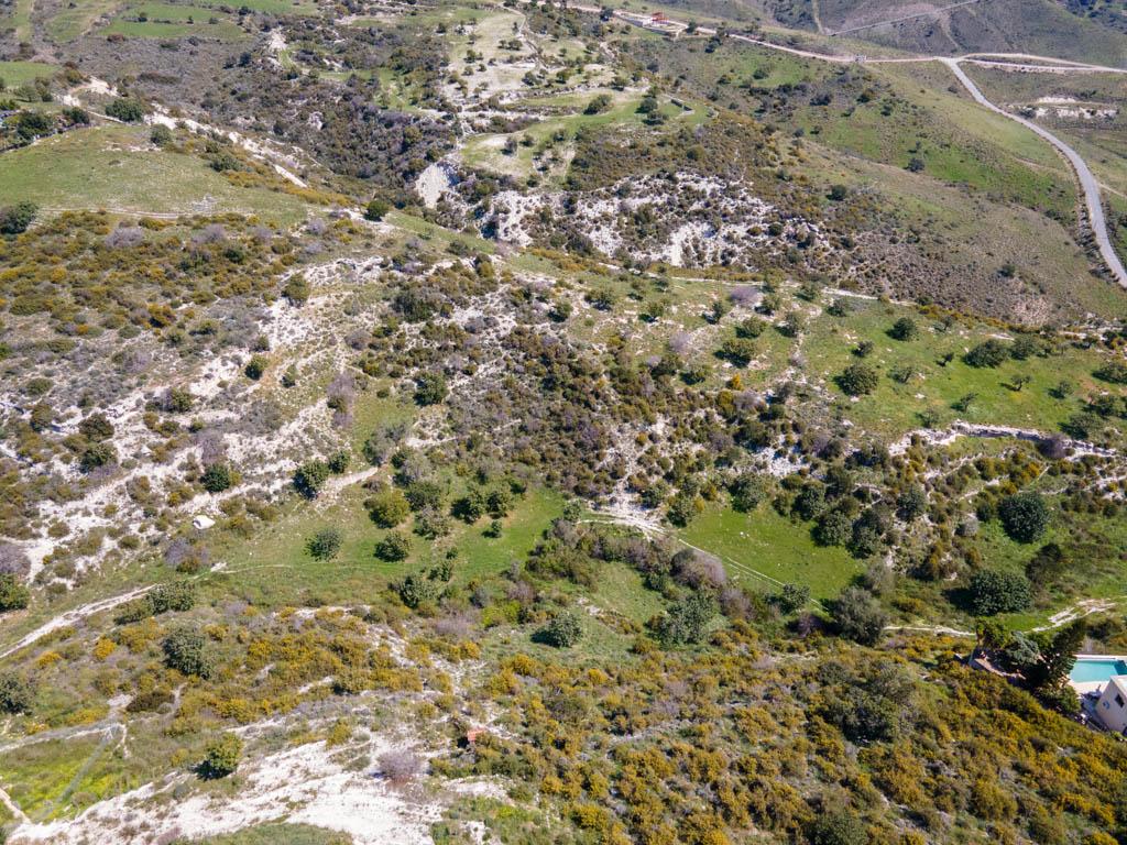 Field-Pegeia-PR37953