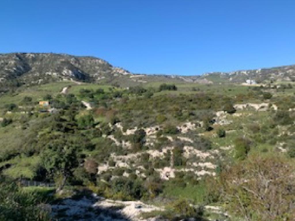 Field-Pegeia-PR37953