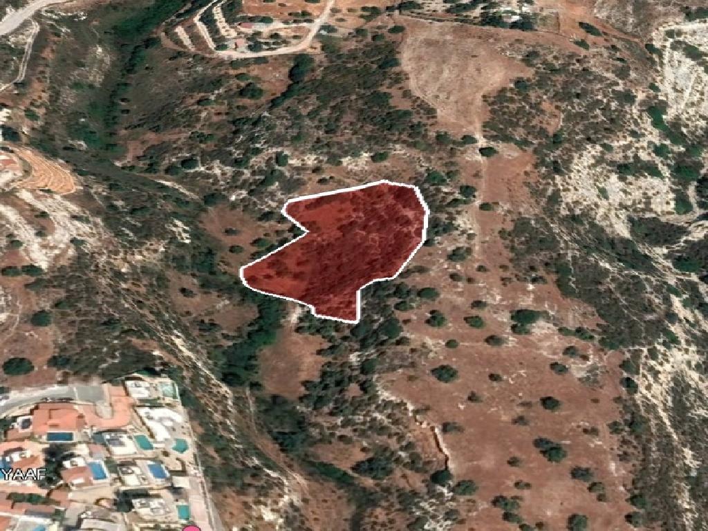 Field-Pegeia-PR37953