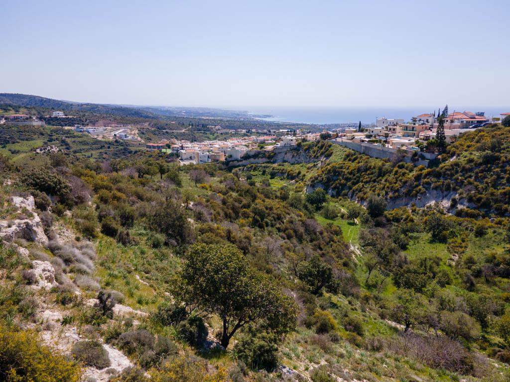 Field-Pegeia-PR37953