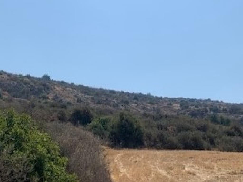 Field (Share) - Pelathousa, Paphos