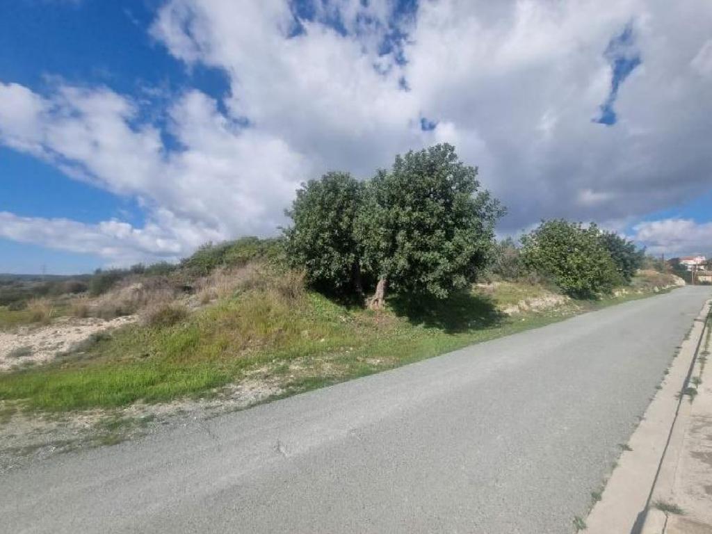 Field-Pissouri-PR39238