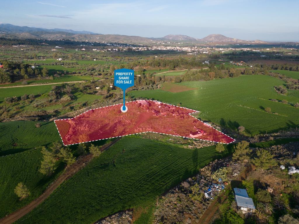 Field (Share) - Klirou, Nicosia