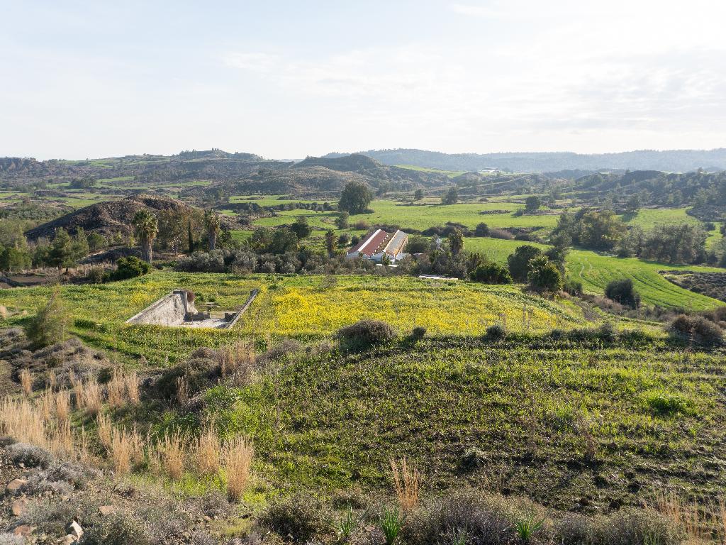 Field (Share) - Klirou, Nicosia