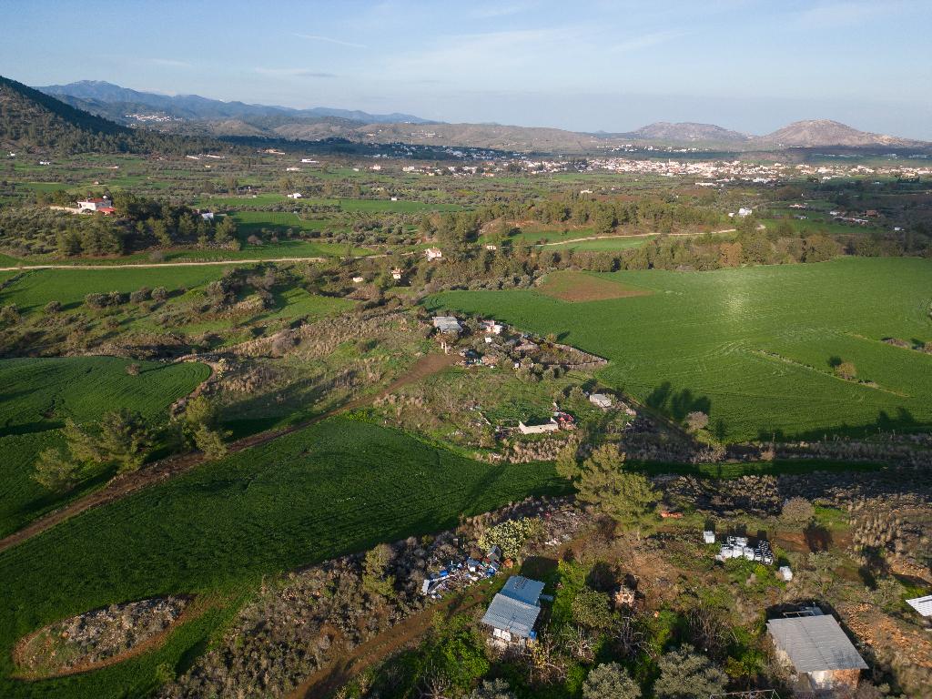 Field (Share) - Klirou, Nicosia