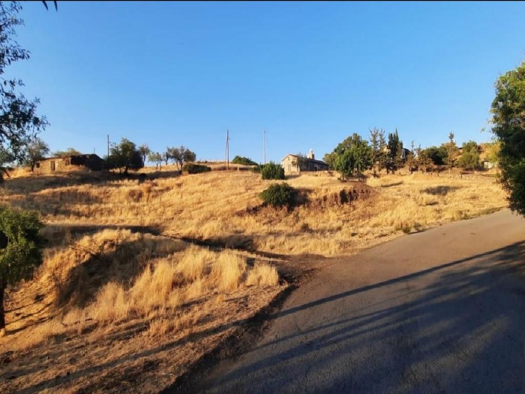 Field - Pano Pyrgos, Nicosia