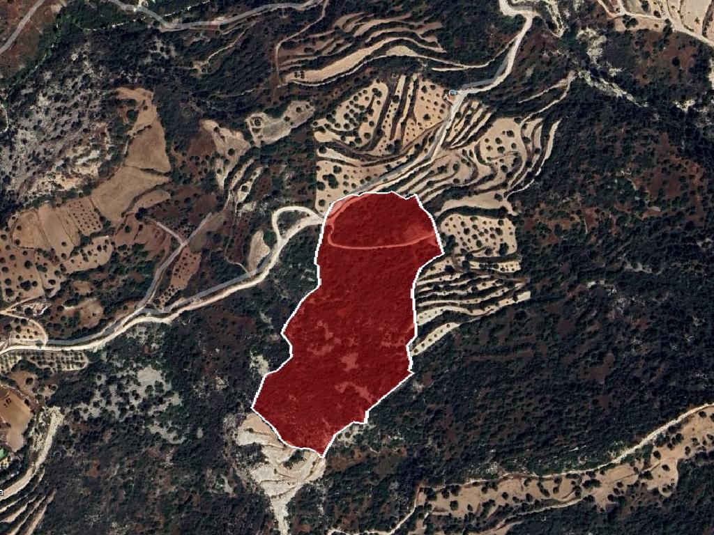 Field (Share) - Koili, Paphos