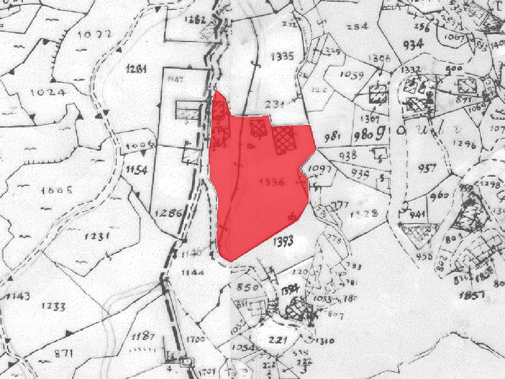 Field-Farmakas-PR41867