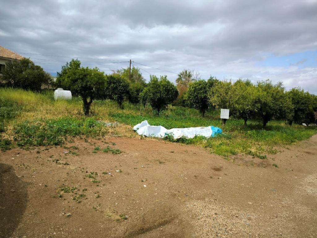 Two houses and an under division plot (Share) – Agioi Trimithias (Shares), Nicosia