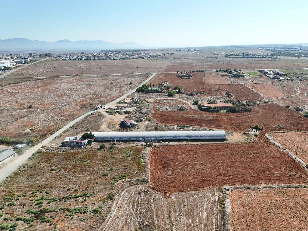 Livestock unit - Kokkinotrimithia, Nicosia