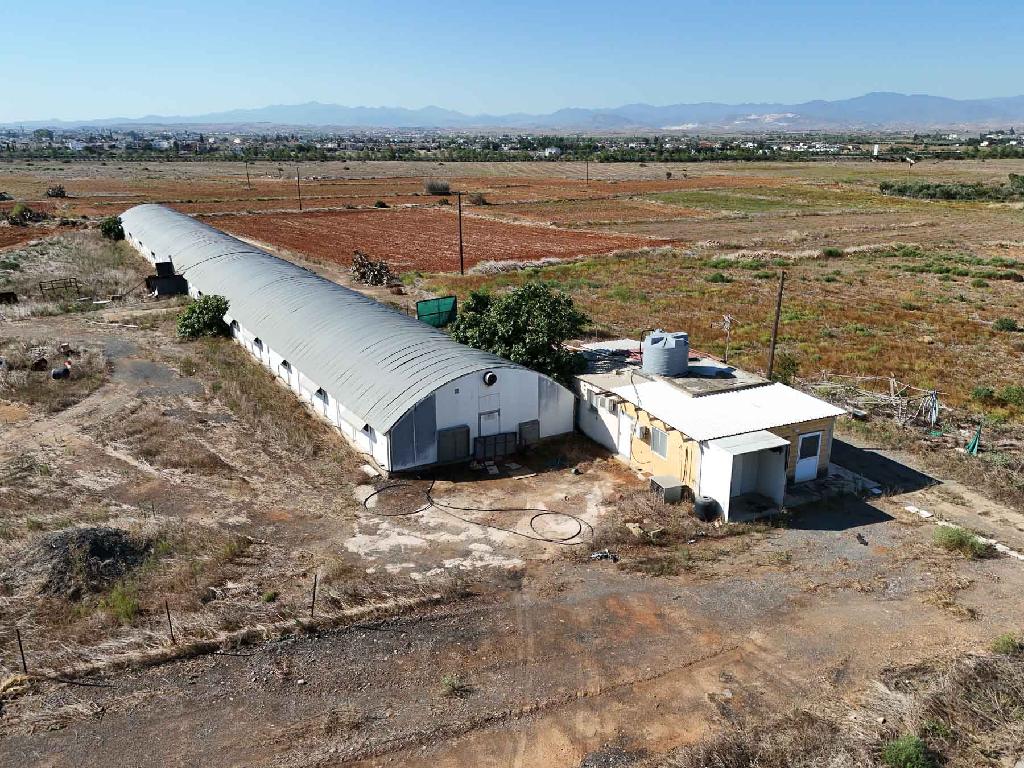 Livestock unit - Kokkinotrimithia, Nicosia
