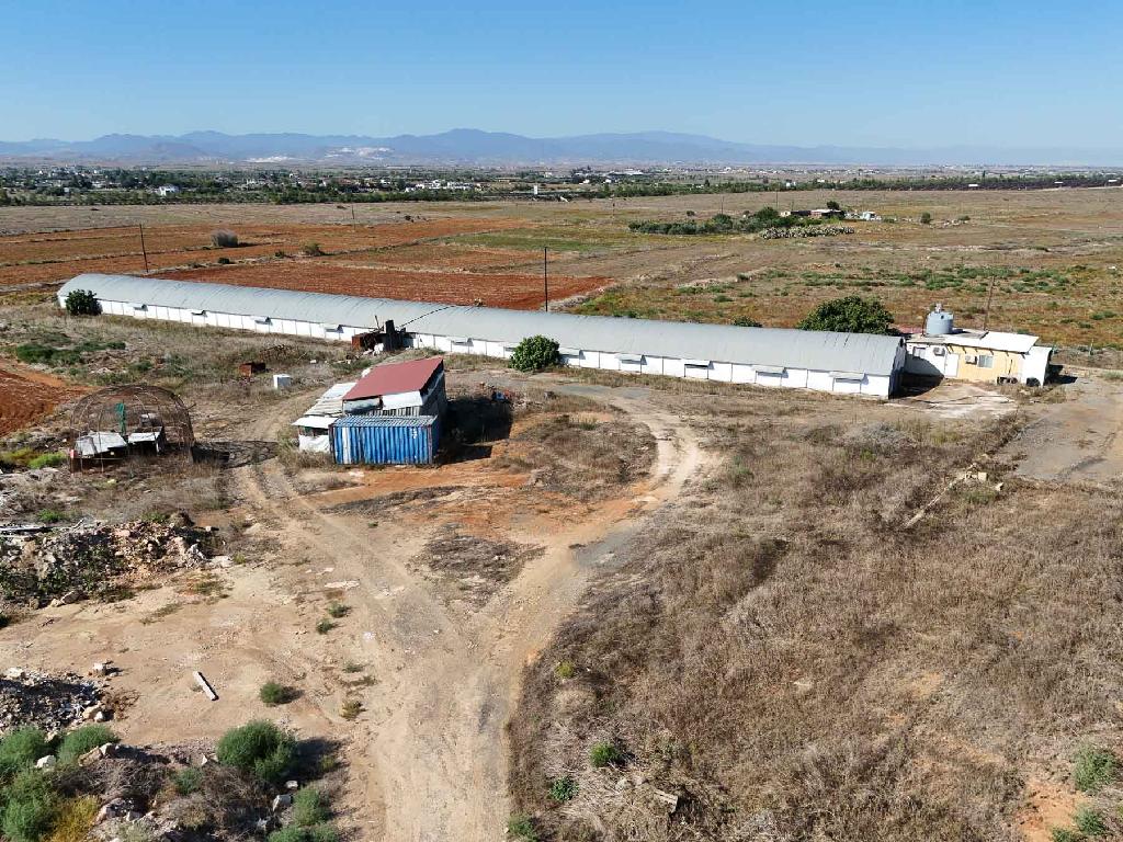 Livestock unit - Kokkinotrimithia, Nicosia