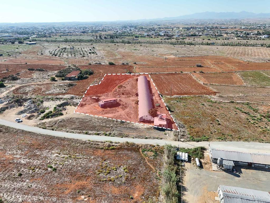 Livestock unit - Kokkinotrimithia, Nicosia