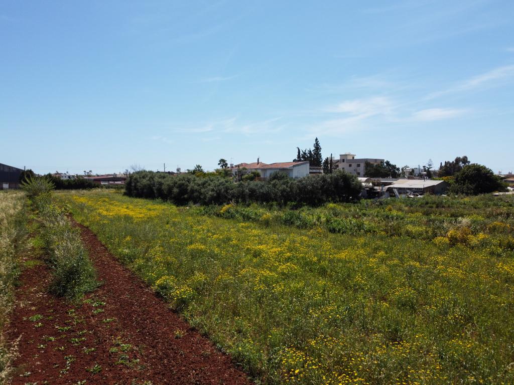 Field-Xylofagou-PR12489