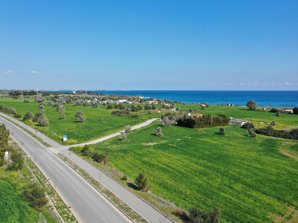 Field - Mazotos, Larnaca