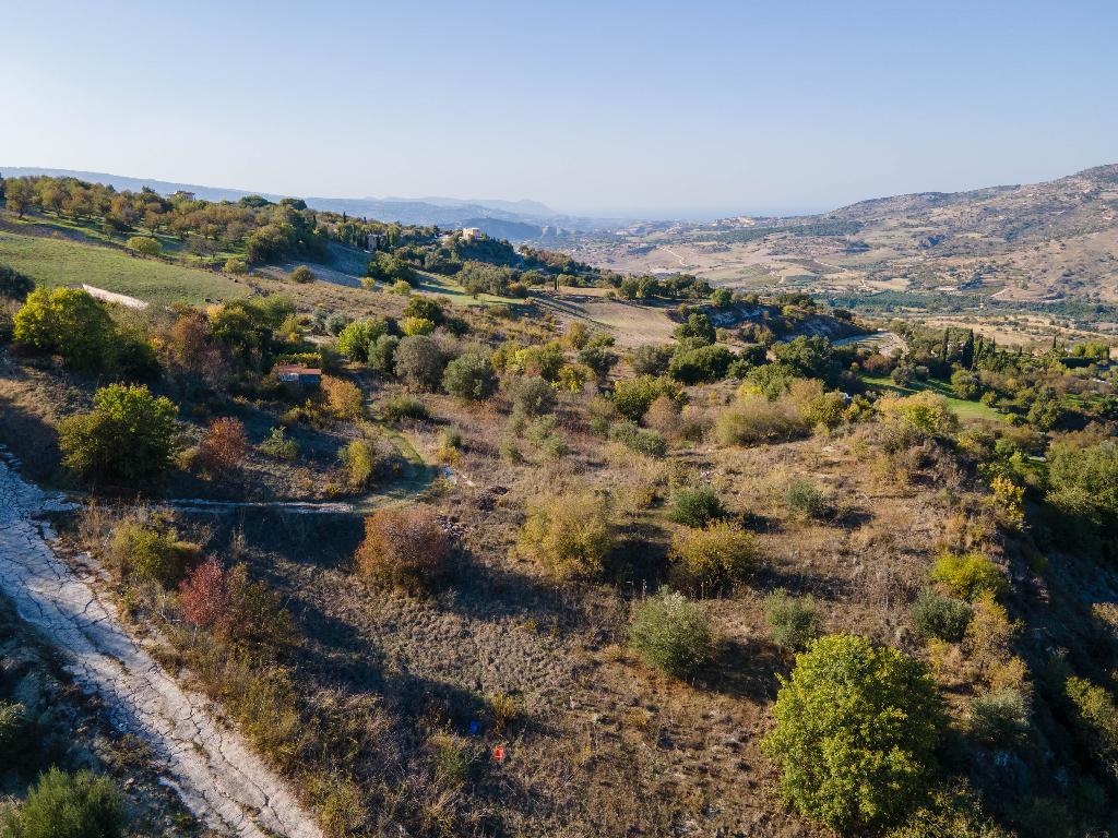 Field - Simou, Paphos