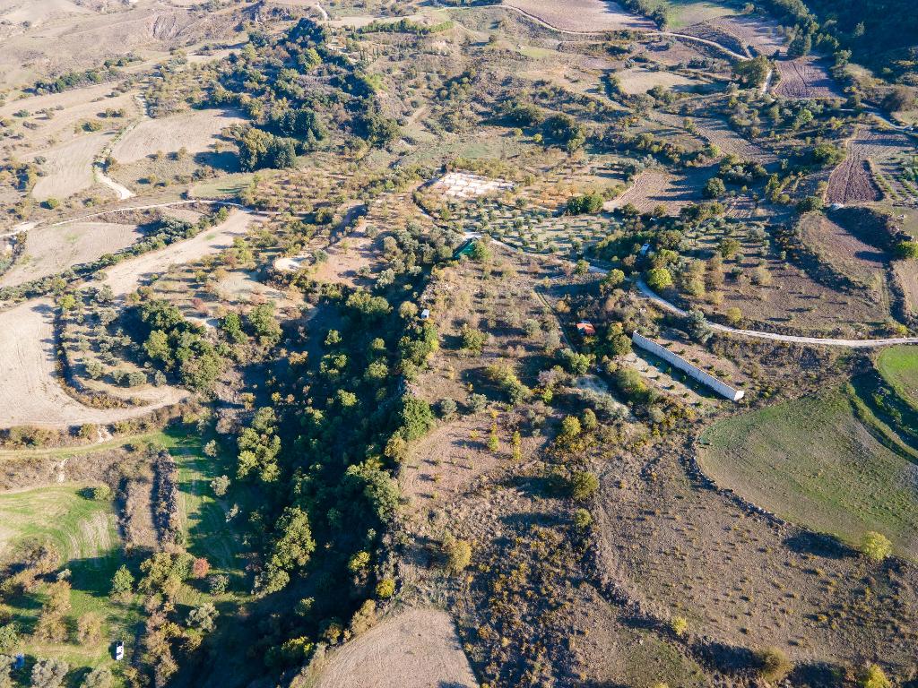 Field - Simou, Paphos