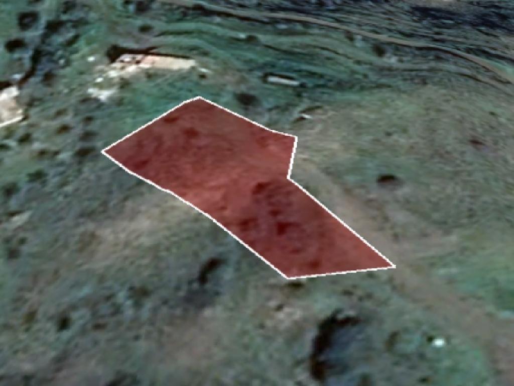 Field-Pigenia-PR13559