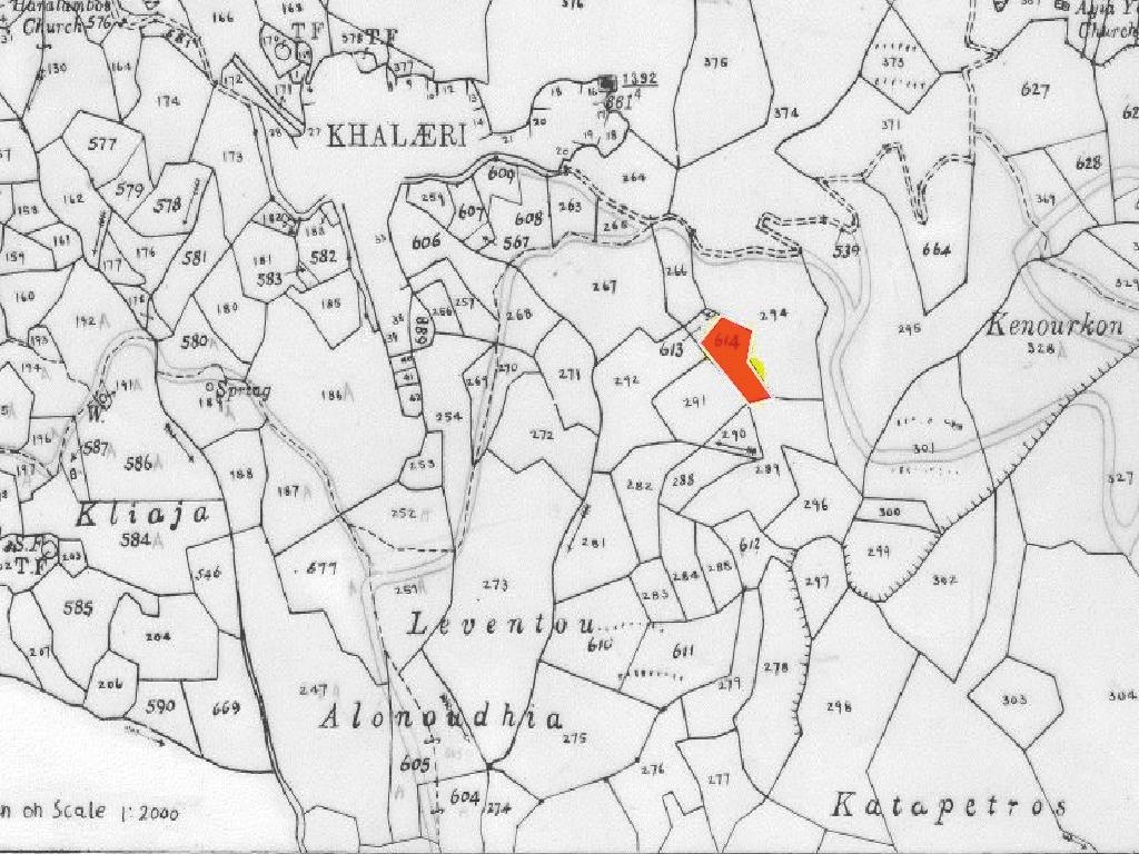 Field-Pigenia-PR13559