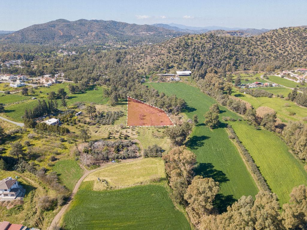 Field-Psevdas-PR14698