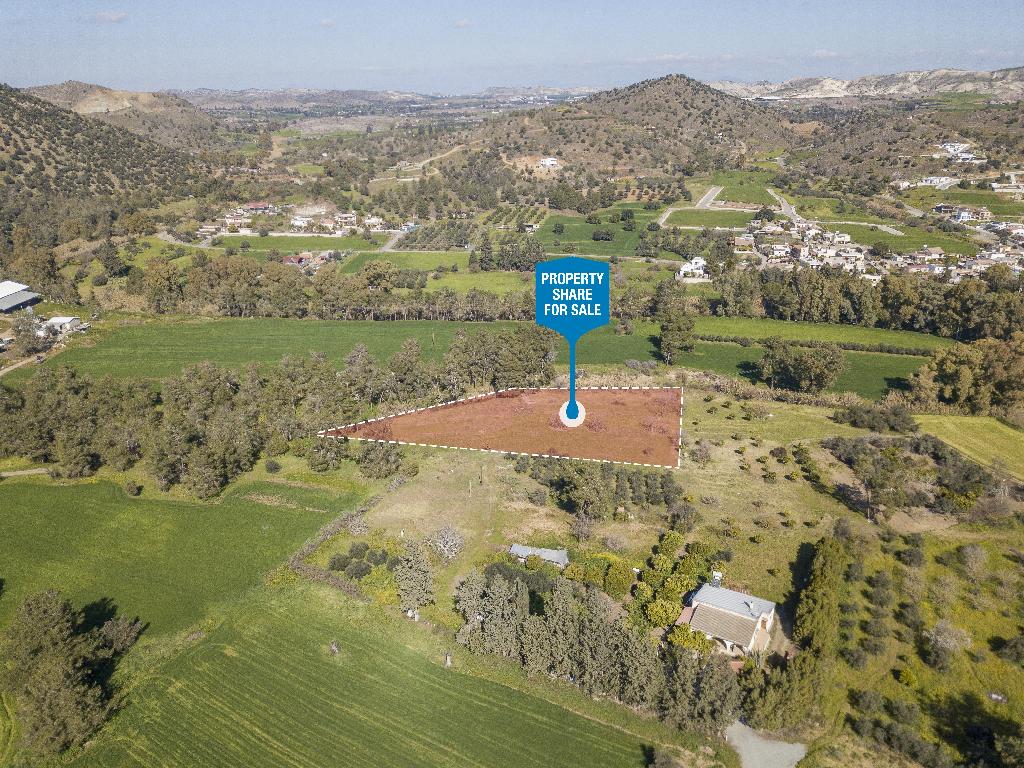 Field-Psevdas-PR14698