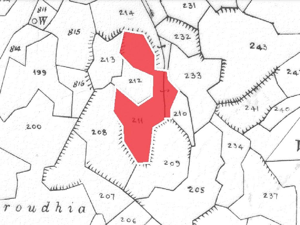 Field-Agrokipia-PR31986