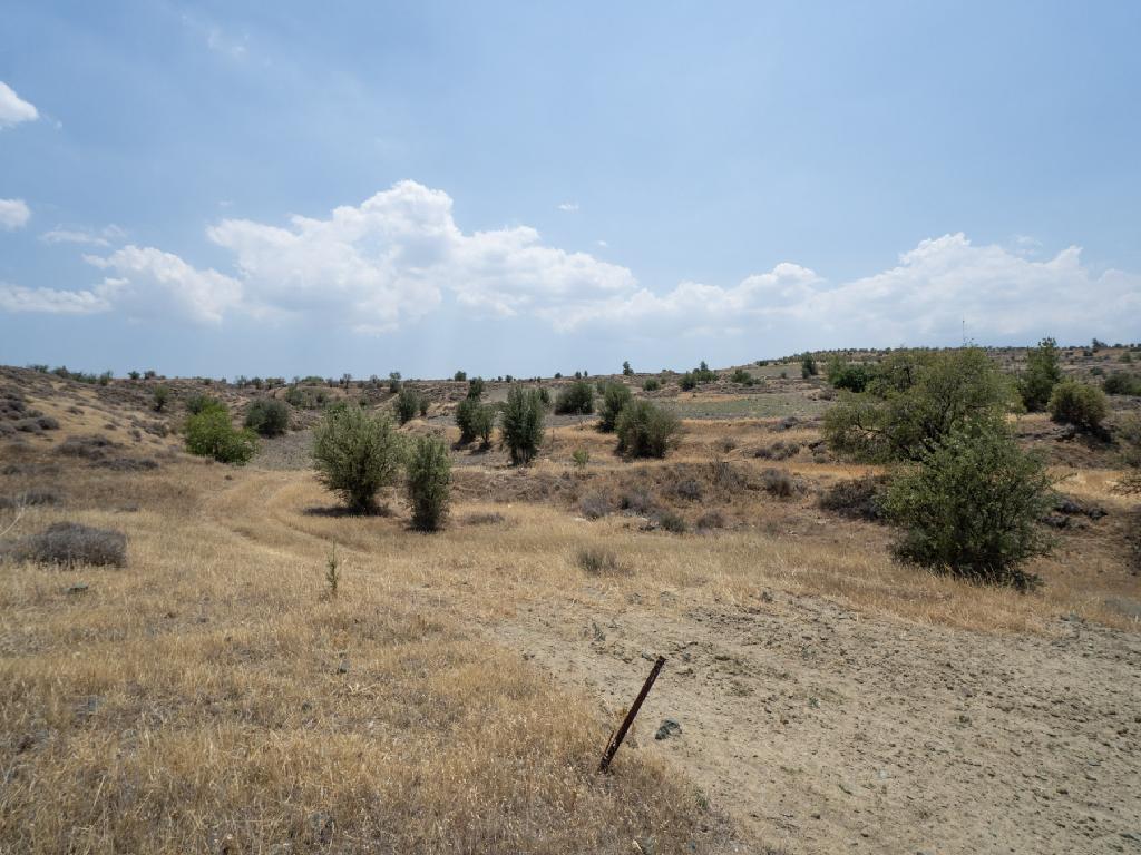 Field-Agrokipia-PR31986