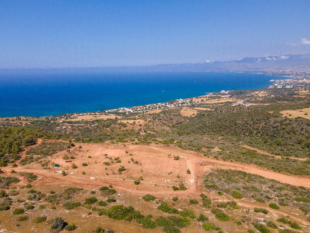 Field-New Chorio-PR35583