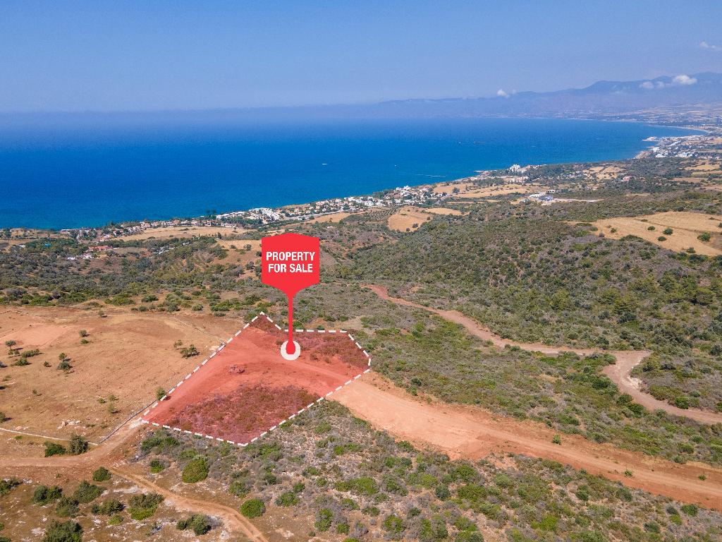 Field-New Chorio-PR35583