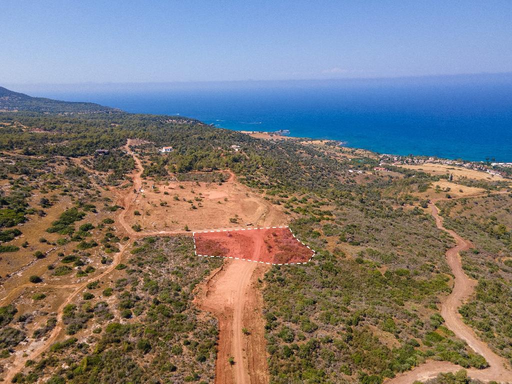 Field-New Chorio-PR35583