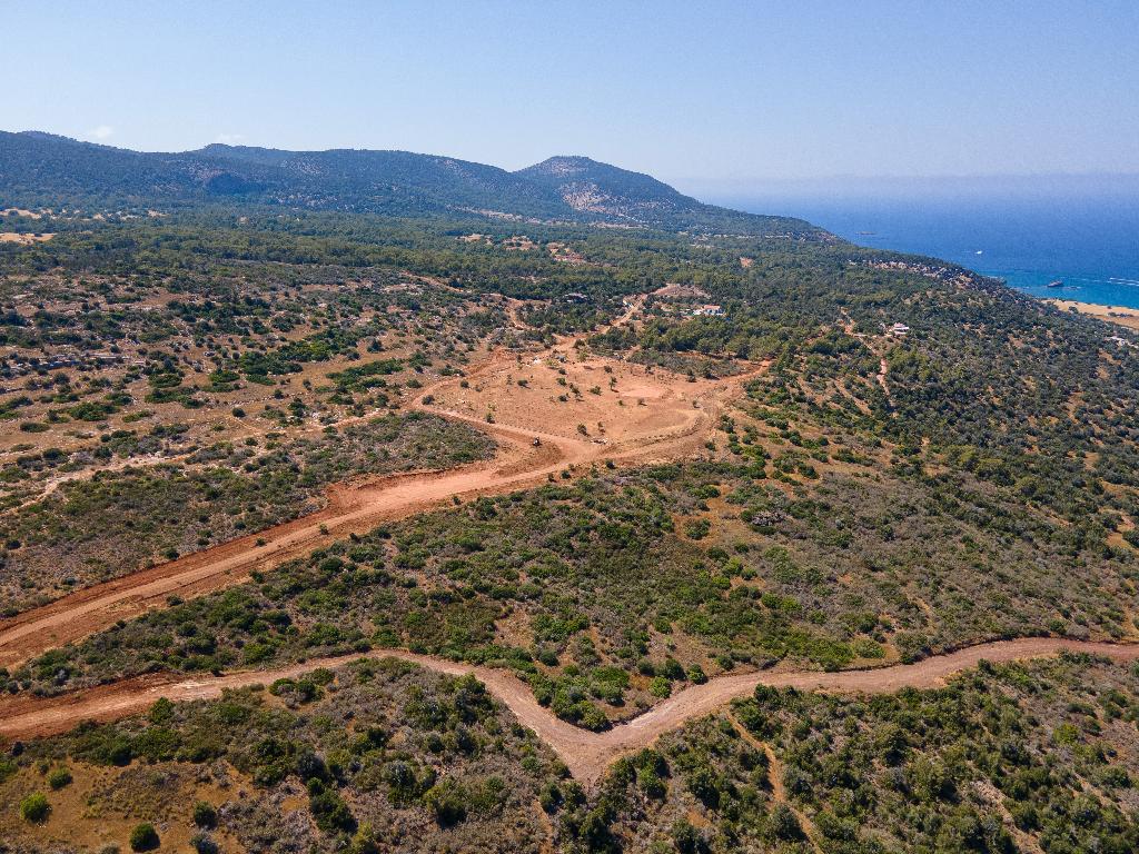Field-New Chorio-PR35583