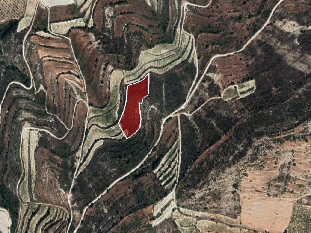 Field-Pachna-PR35809