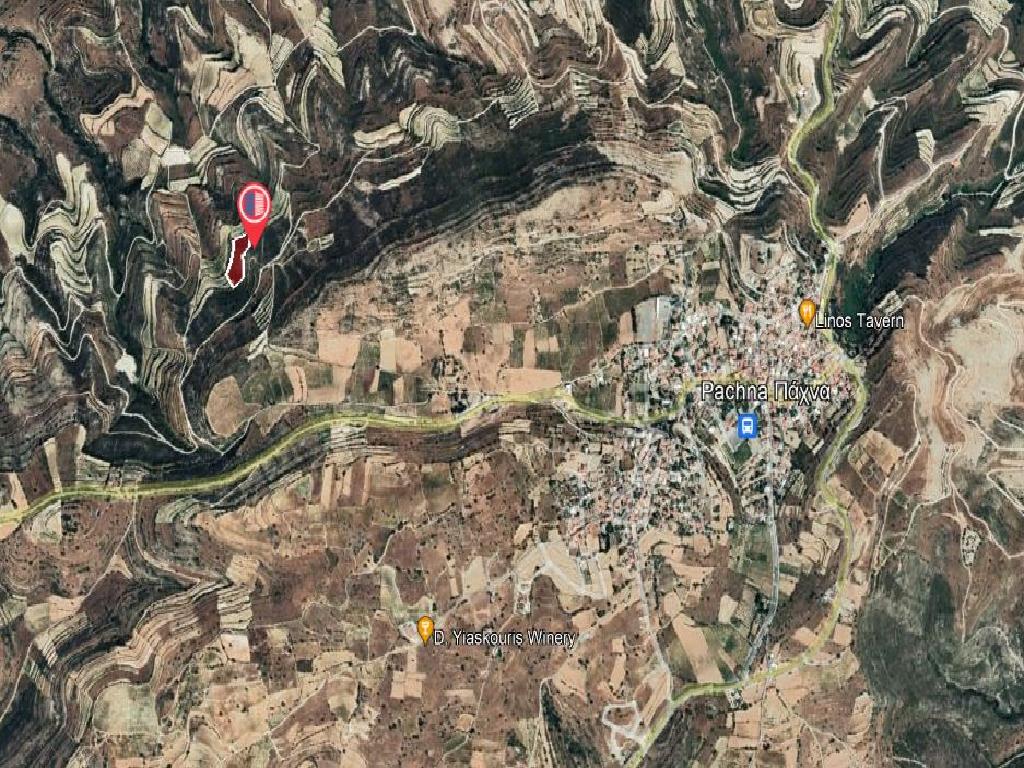 Field-Pachna-PR35809
