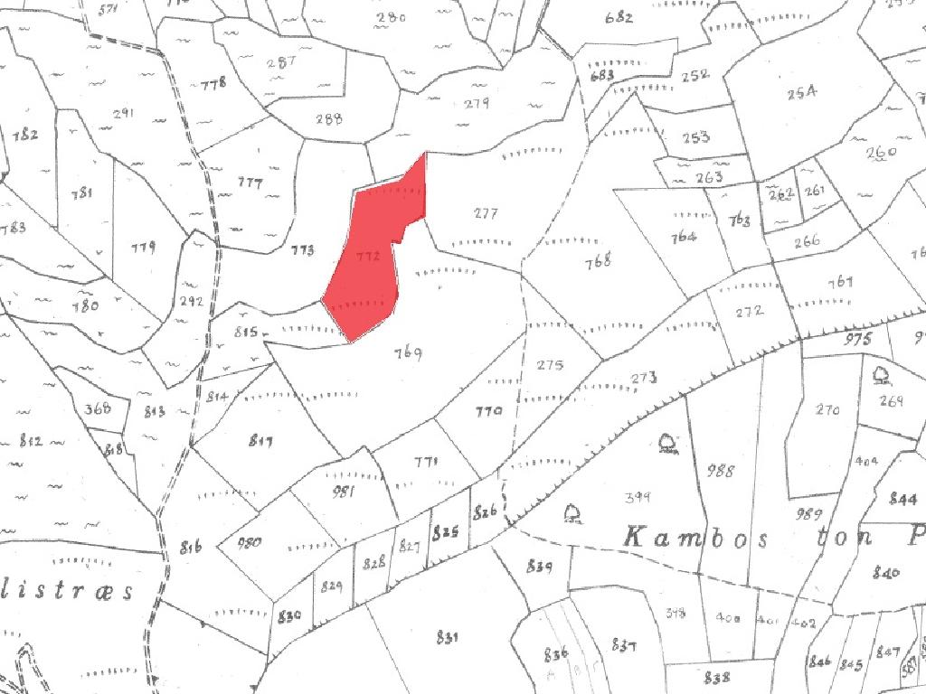 Field-Pachna-PR35809