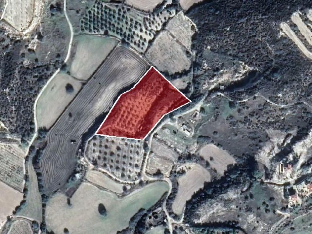 Field– Pissouri, Limassol