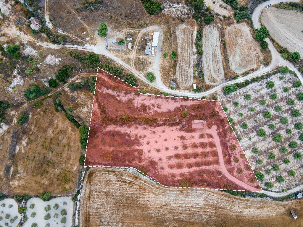 Field– Pissouri, Limassol