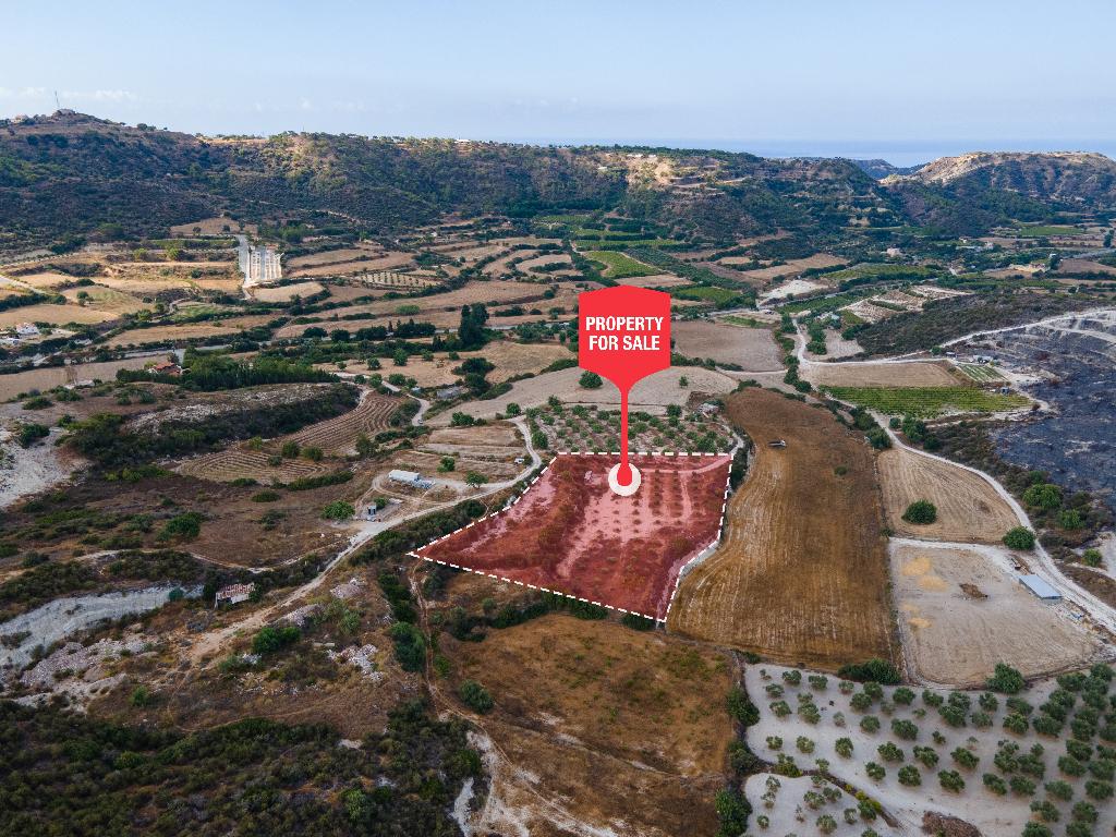 Field– Pissouri, Limassol