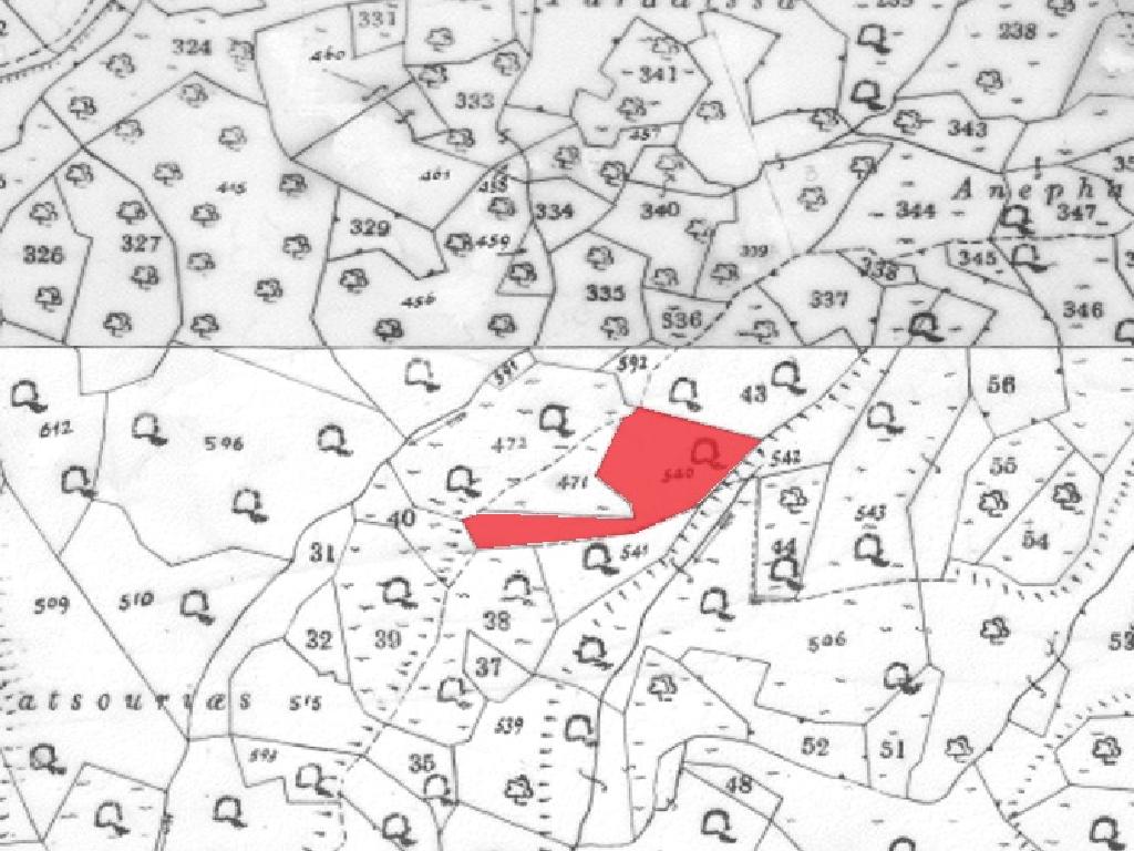 Field-Ora-PR36387