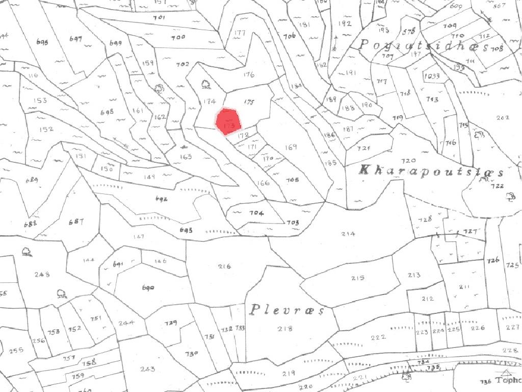 Field-Pachna-PR36582