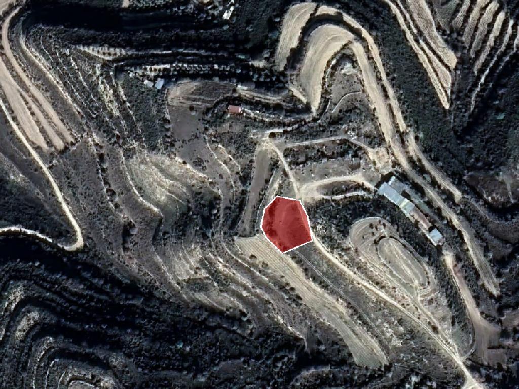 Field-Pachna-PR36582