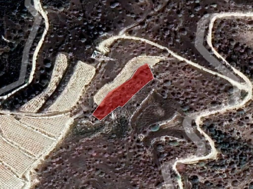 Field-Kelokedara-PR36547