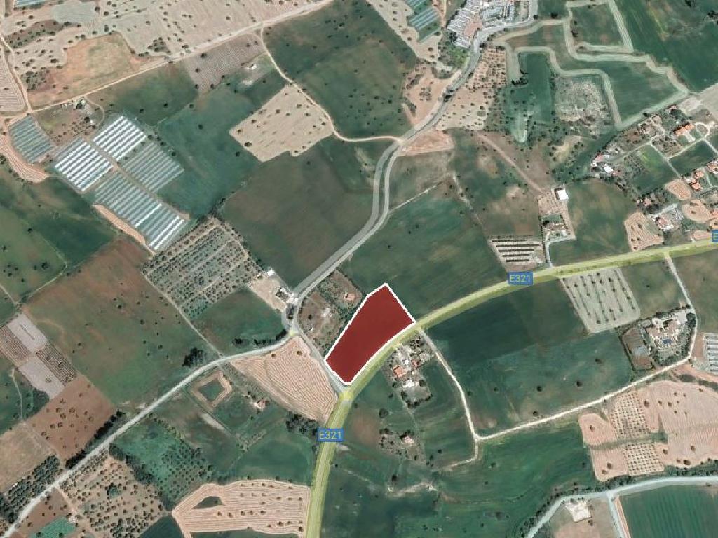 Field – Mazotos, Larnaca