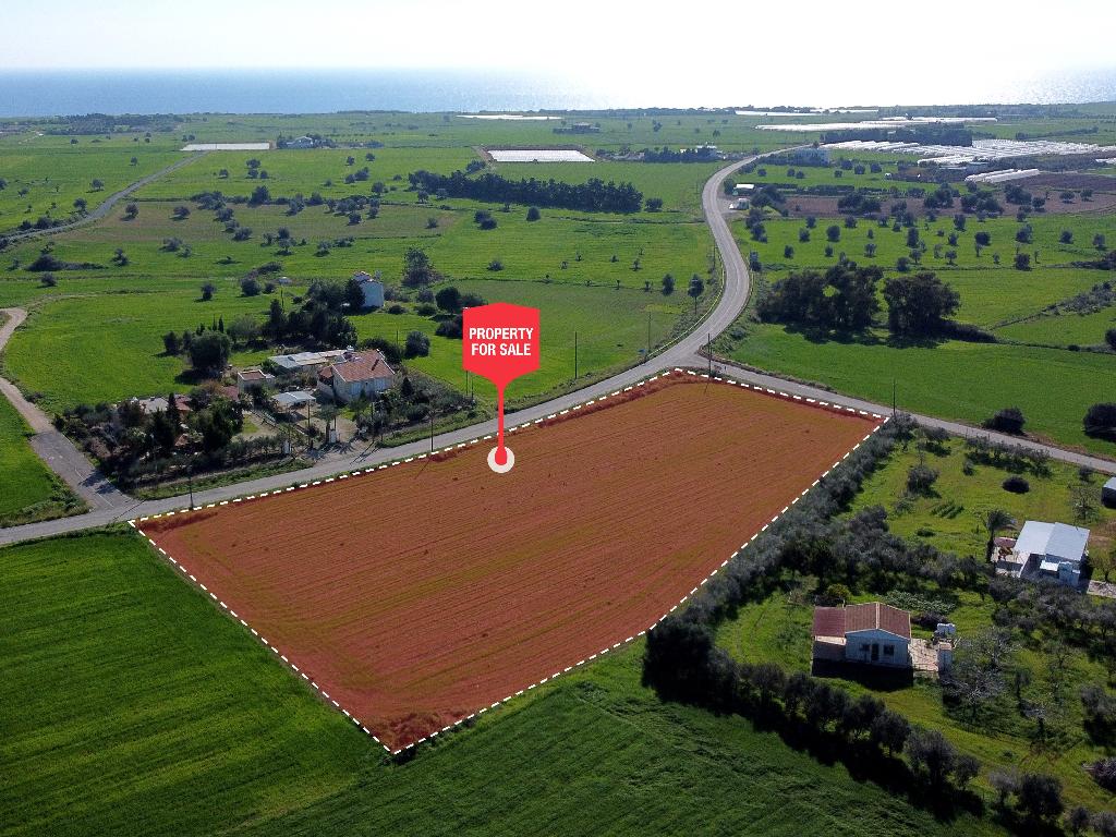 Field – Mazotos, Larnaca