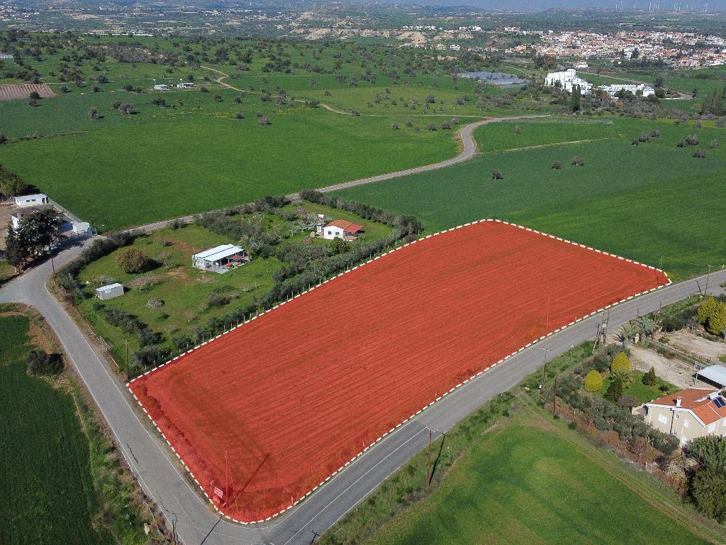Field – Mazotos, Larnaca